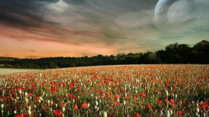 2025 年有哪些值得关注的开源项目？